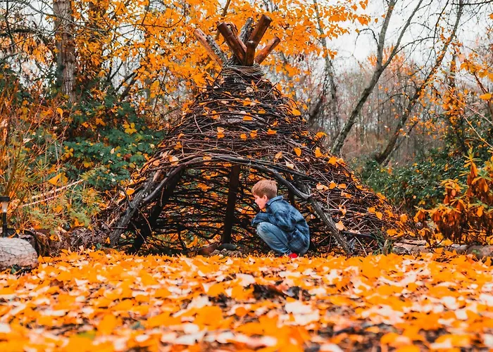 Cozy Wild West Covered Wagon Next To River