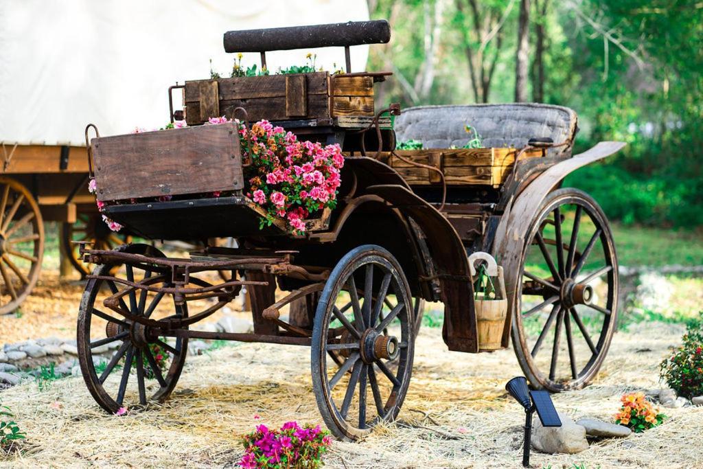 Cozy Wild West Covered Wagon Next To River Luxury tent *